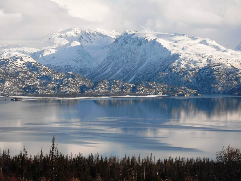 McNeil & East End Road Market Report Homer Alaska